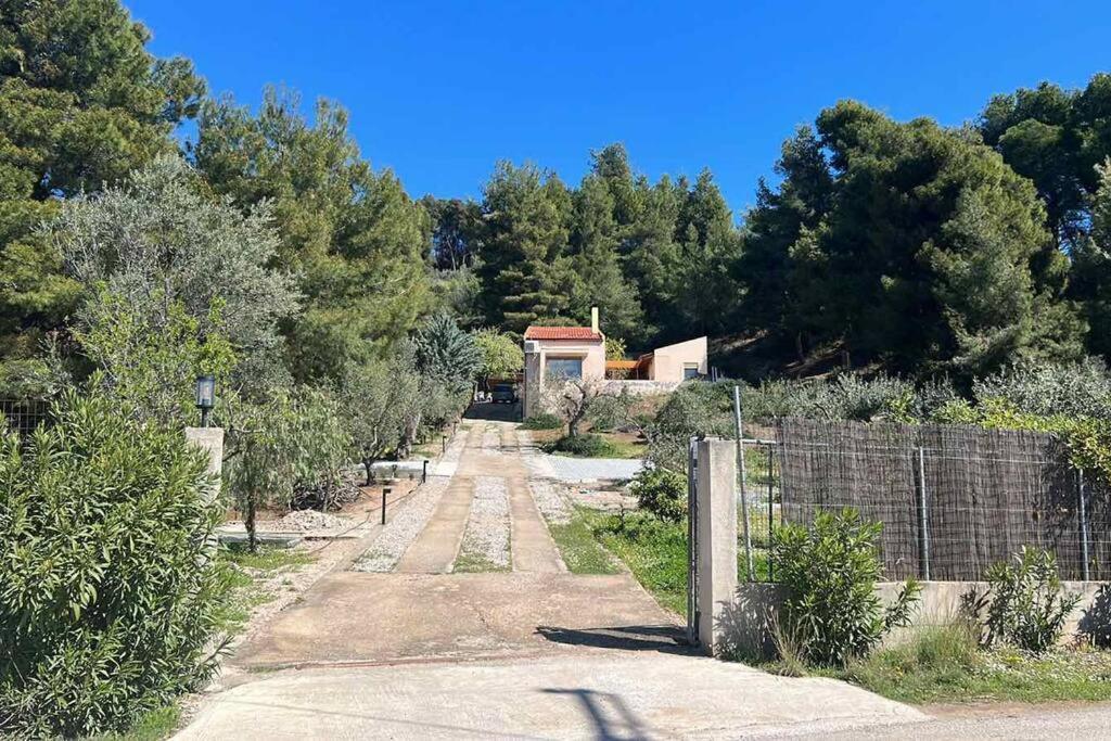 Askalosia Villa Агиос-Георгиос Экстерьер фото