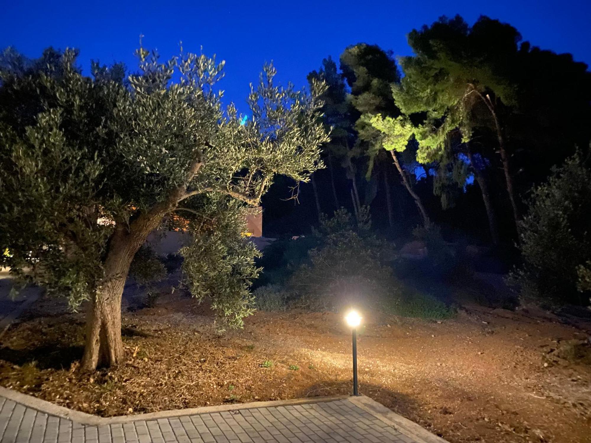 Askalosia Villa Агиос-Георгиос Экстерьер фото