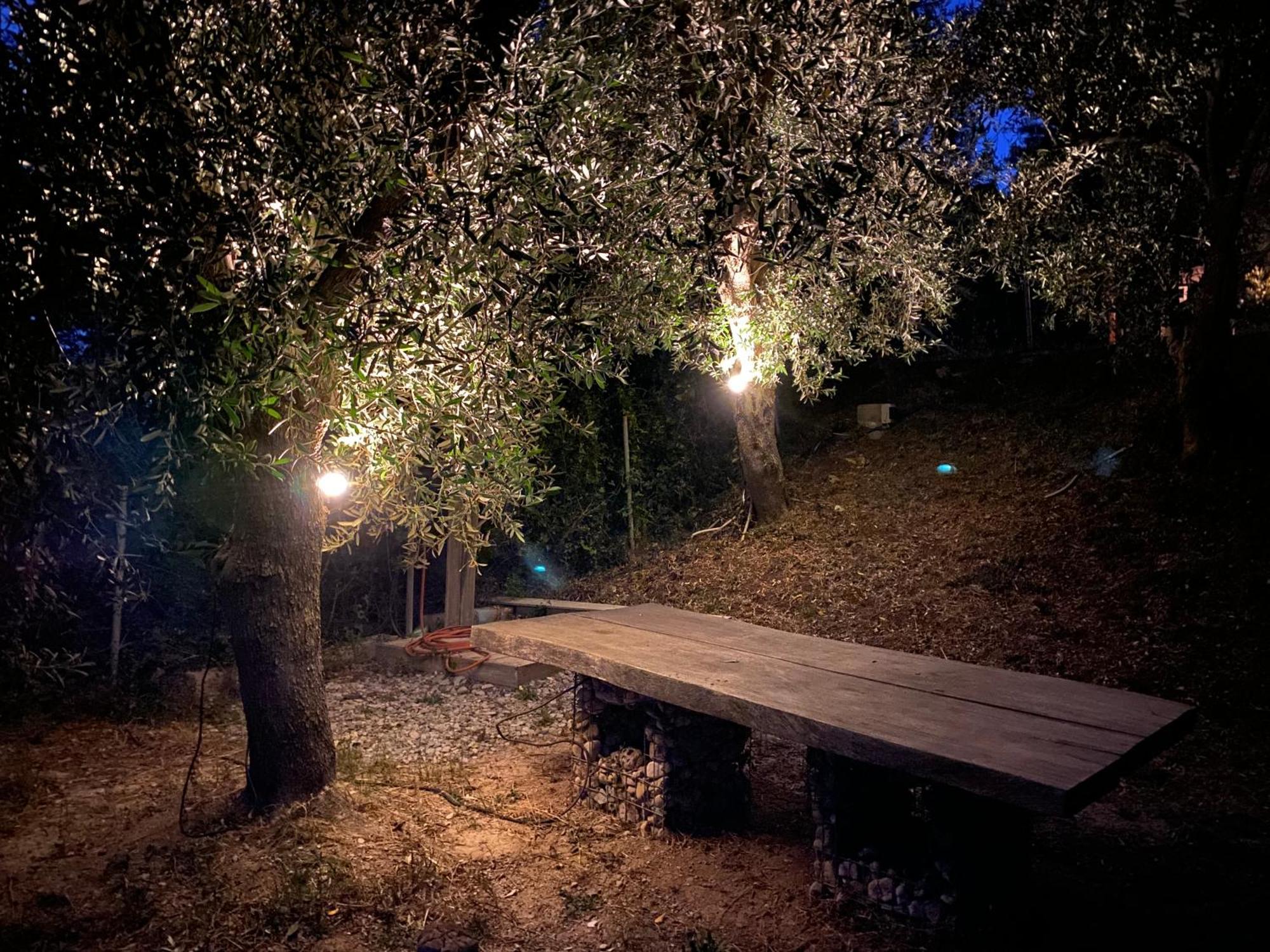 Askalosia Villa Агиос-Георгиос Экстерьер фото